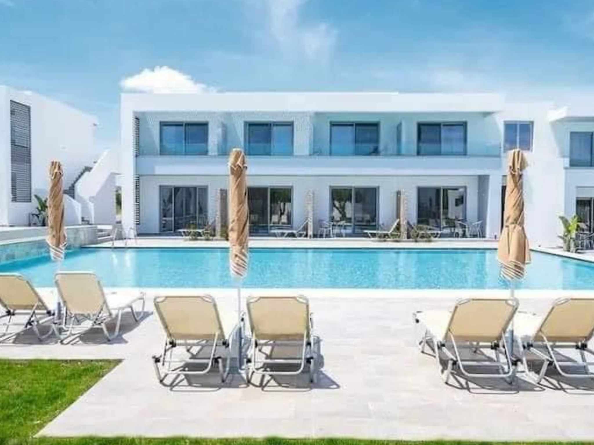 2024 Rolex Zombie - image 5