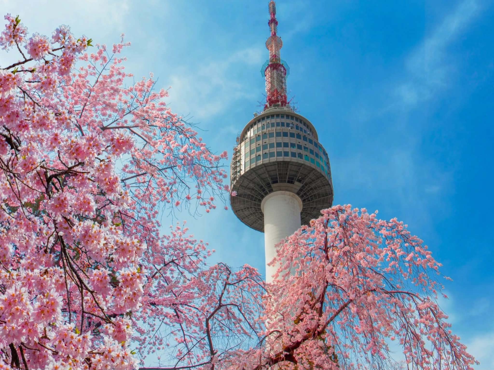9 Nights South Korea